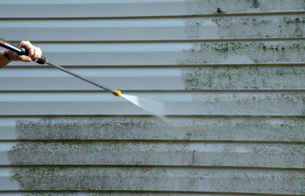Best Fence Cleaning  in Santa Rosa, CA